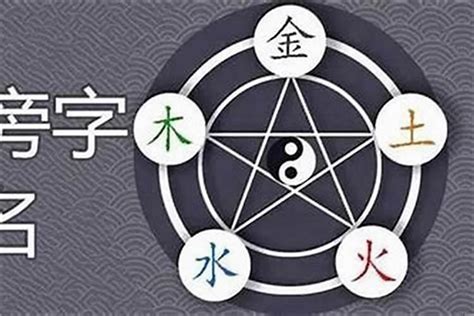 珊五行|珊字五行属什么